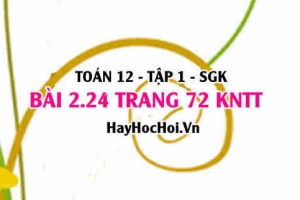 Bài 2.24 trang 72 Toán 12 tập 1 Kết nối tri thức